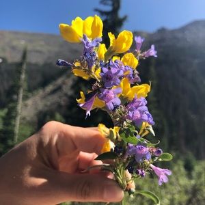 Meet your Posher, Janice